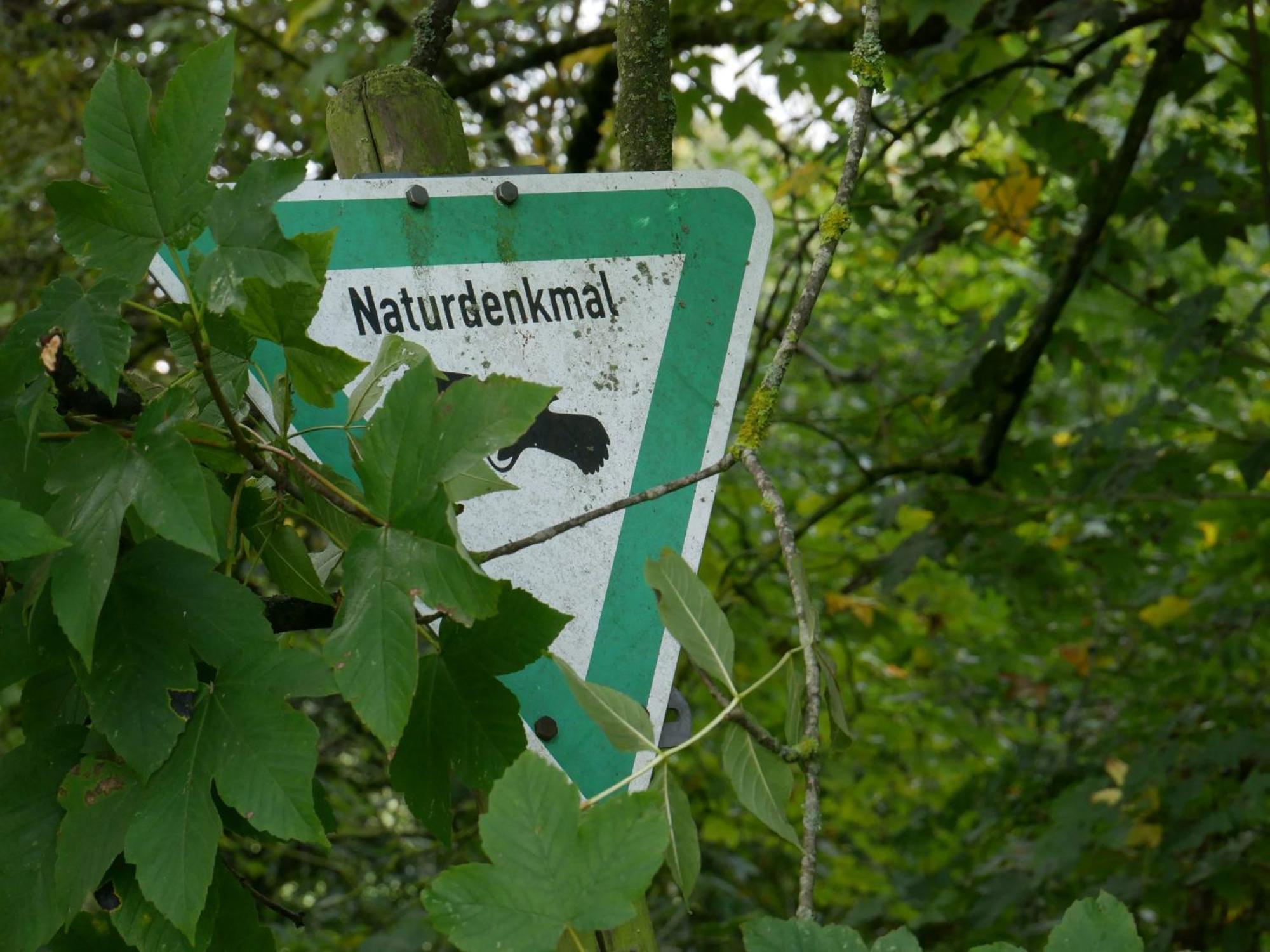 Ferienwohnungen Knodel Sachsenheim Exterior foto